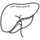 Icon Liver